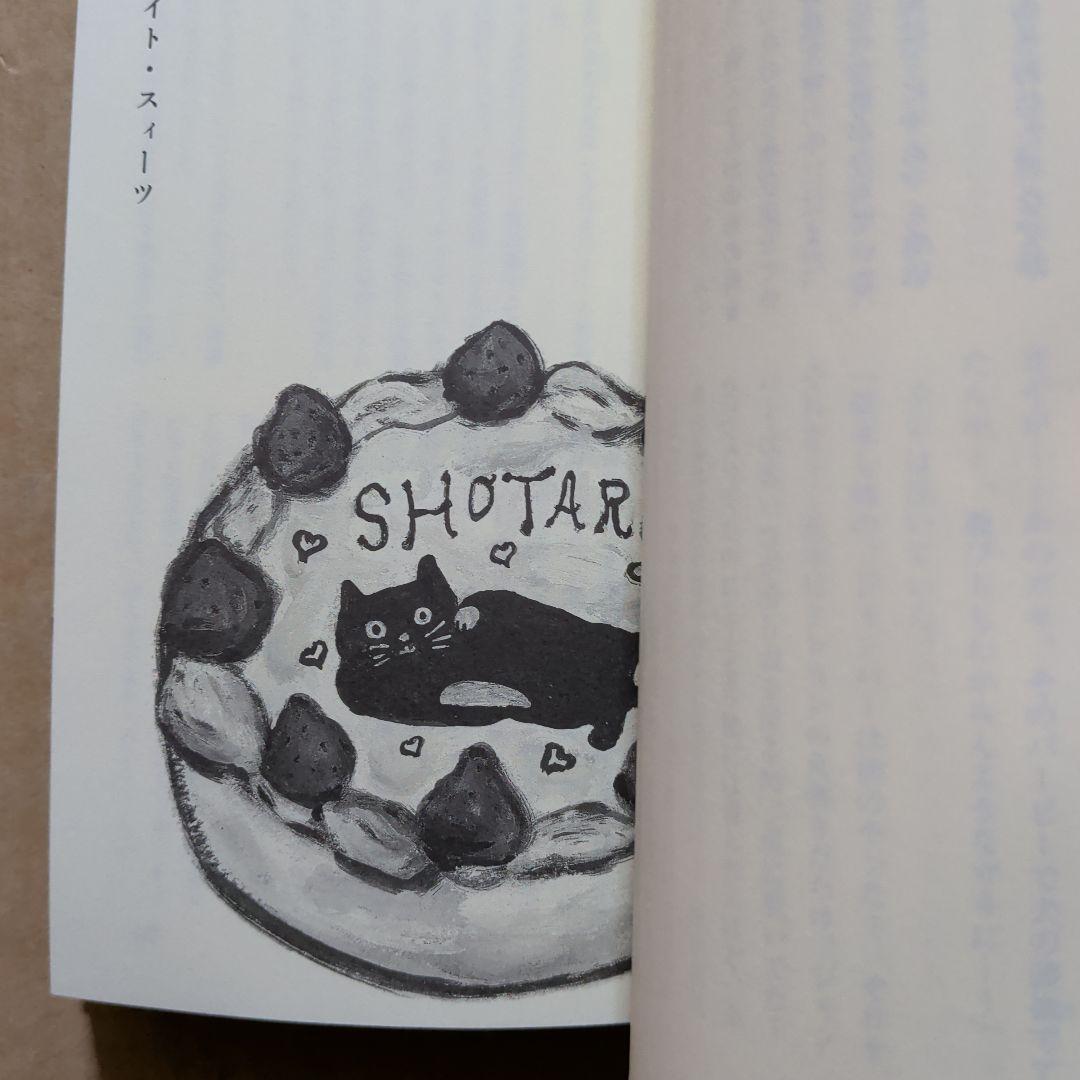 猫探偵・正太郎の冒険 1.2 柴田よしき　カッパ・ノベルス