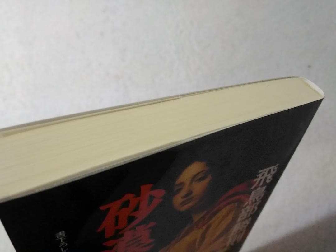 砂漠の薔薇 カッパノベルス 新書 飛鳥部勝則 書下ろし長編推理小説 光文社