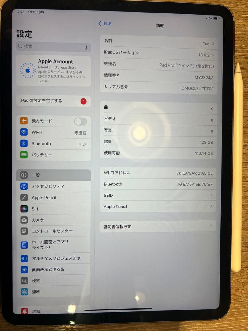 Apple iPad Pro 11インチ (第2世代) スペースグレーおまけ付き