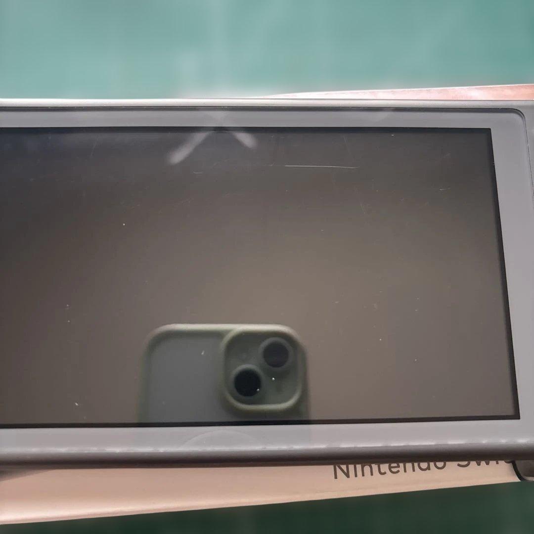 Nintendo Switch Lite 本体 SDカード128GB付き