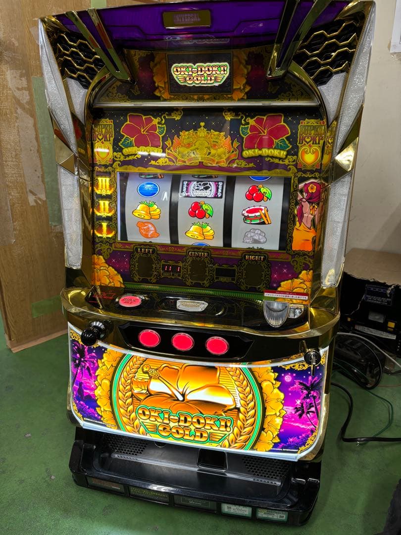 Ｓ／沖ドキ！ＧＯＬＤ／ＬＳ（沖ドキ！GOLD-30 ） IPS