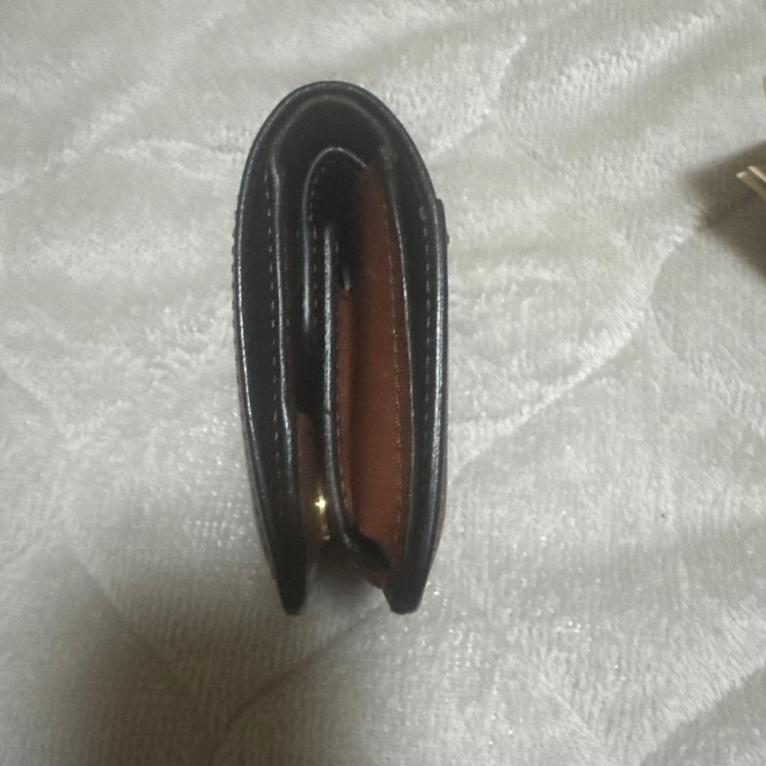 ワイルドスワンズ　casa ダークステイン