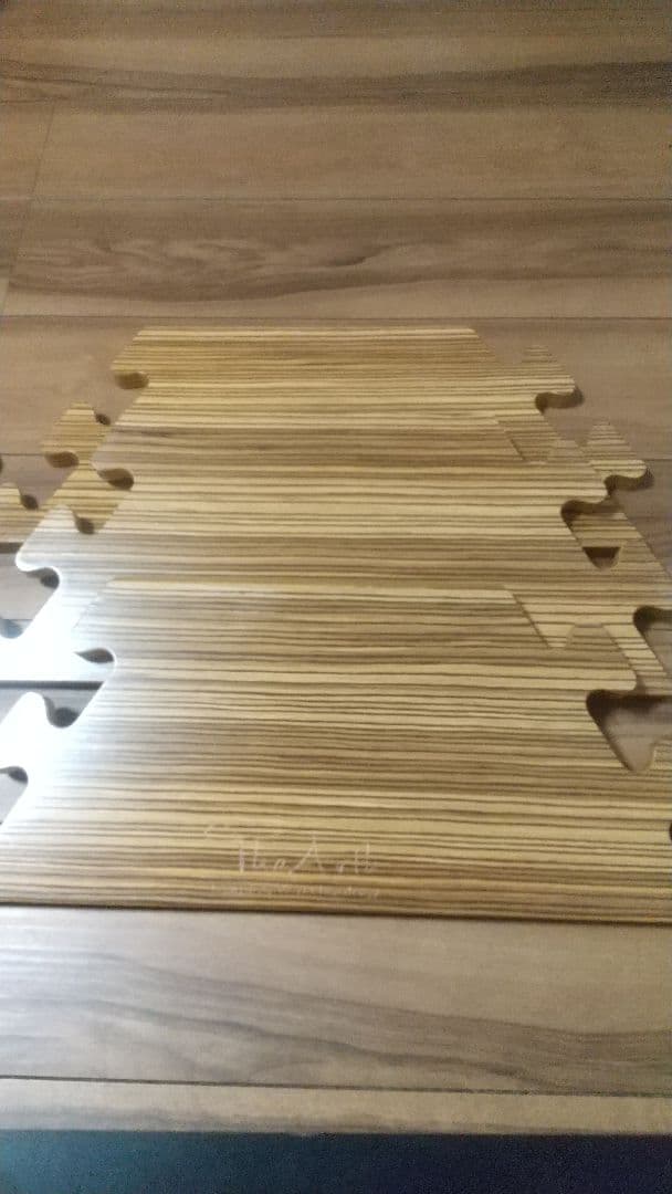 ざぁーす しま次郎 収納バッグ付き アナキャンメタヘキテセット