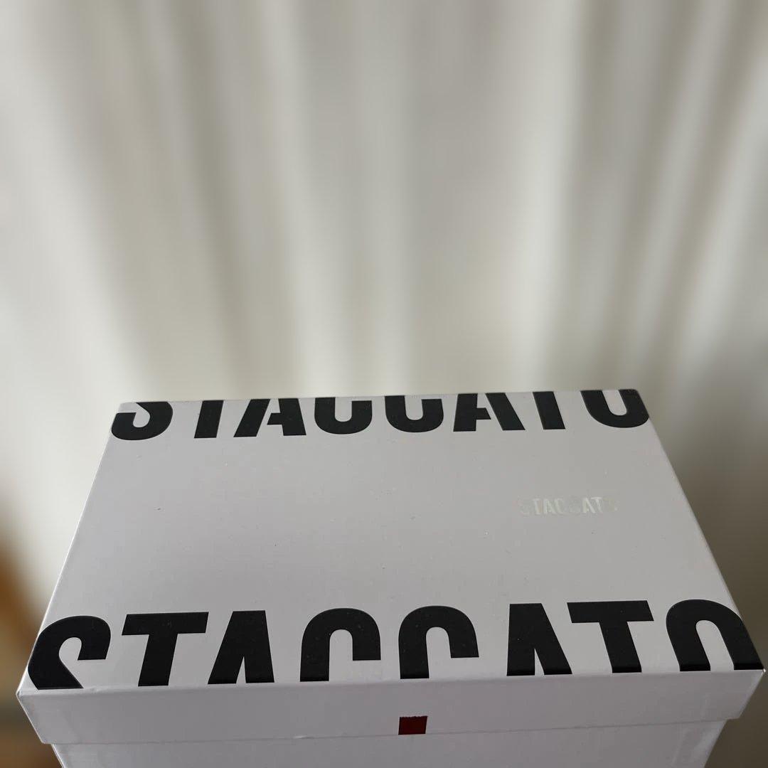 【新品】STACCATO サンダルバックベルト有23.5