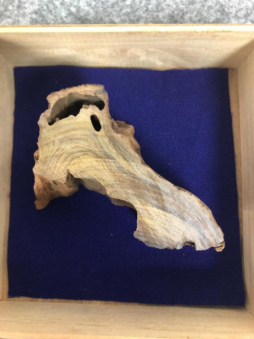 412-27 天然沈香「伽羅」伽羅認定印付 64g