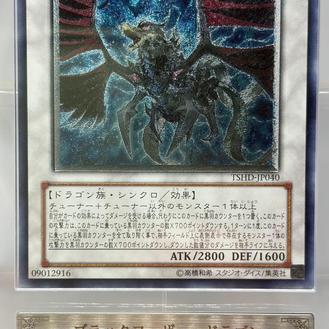 みき様　【ARS10】 ブラックフェザードラゴン　レリーフ