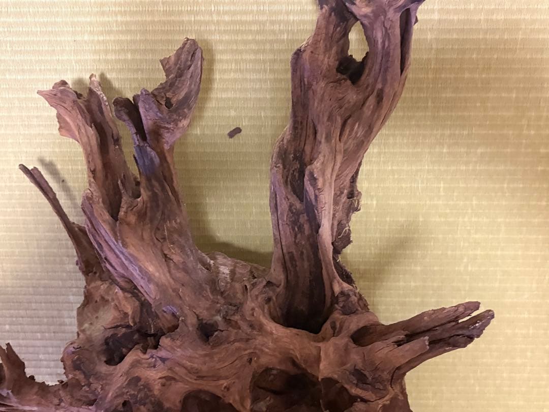 ADA ホーンウッド流木と小型流木