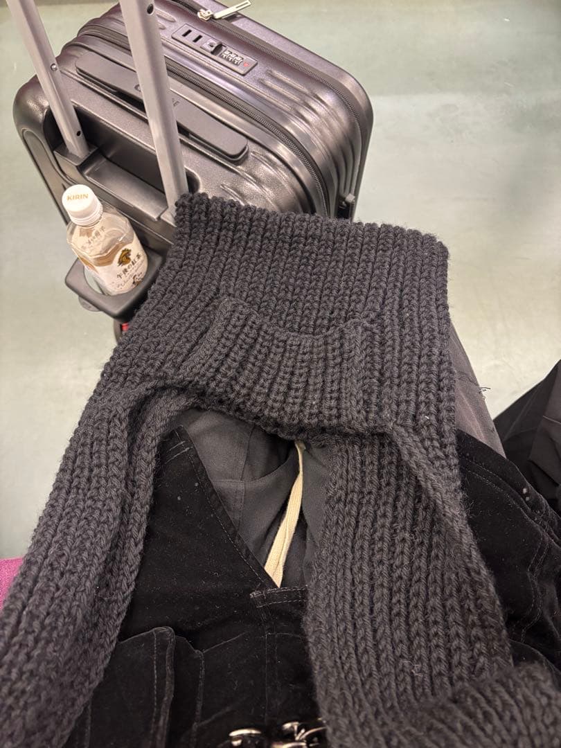 vivienne westwood 猫耳　ニット帽