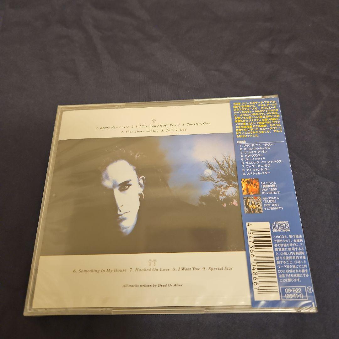 ブランド・ニュー・ラヴァー(国内盤)