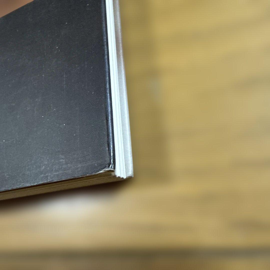 ANIMEROTICS / David Delamare 洋書 画集 アート