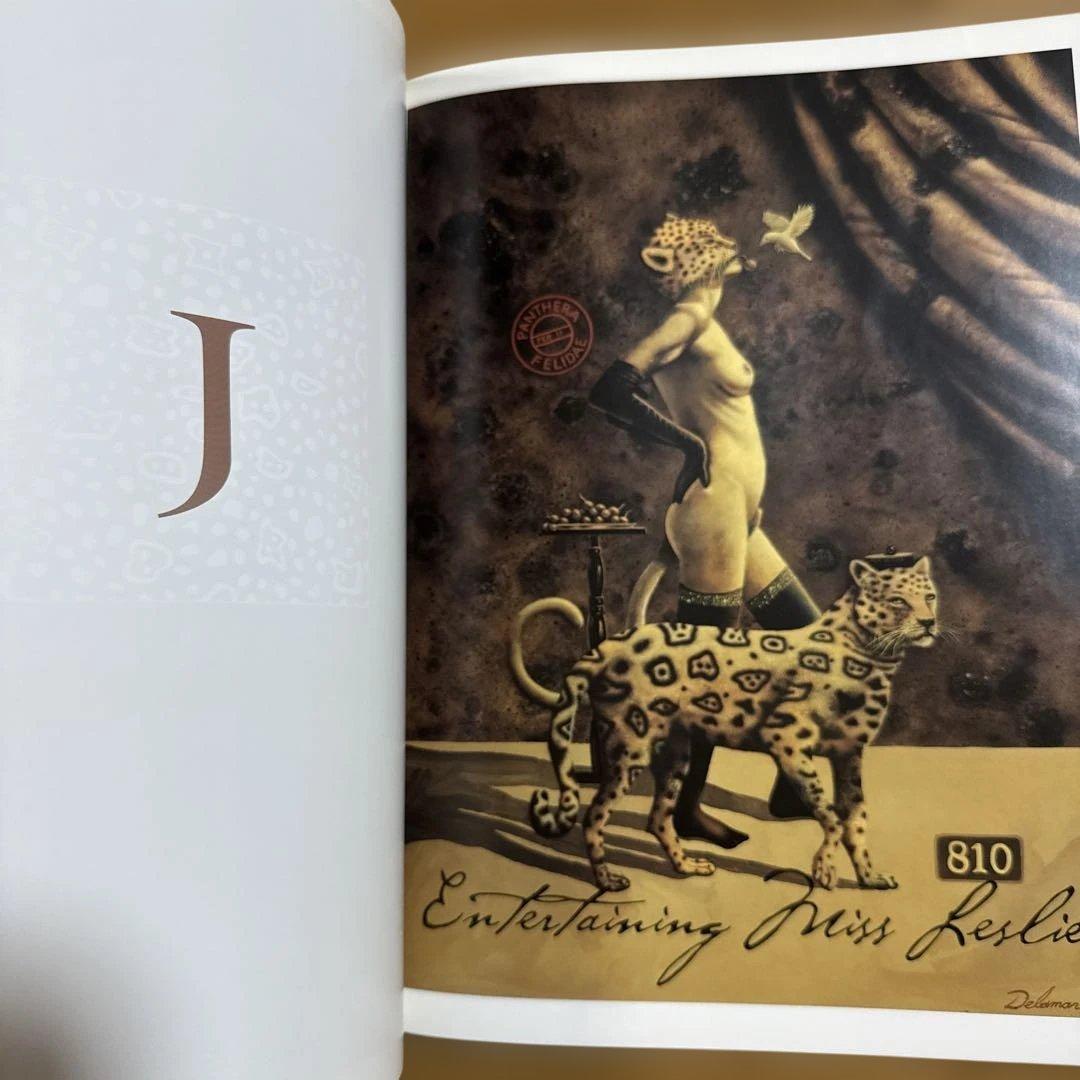 ANIMEROTICS / David Delamare 洋書 画集 アート