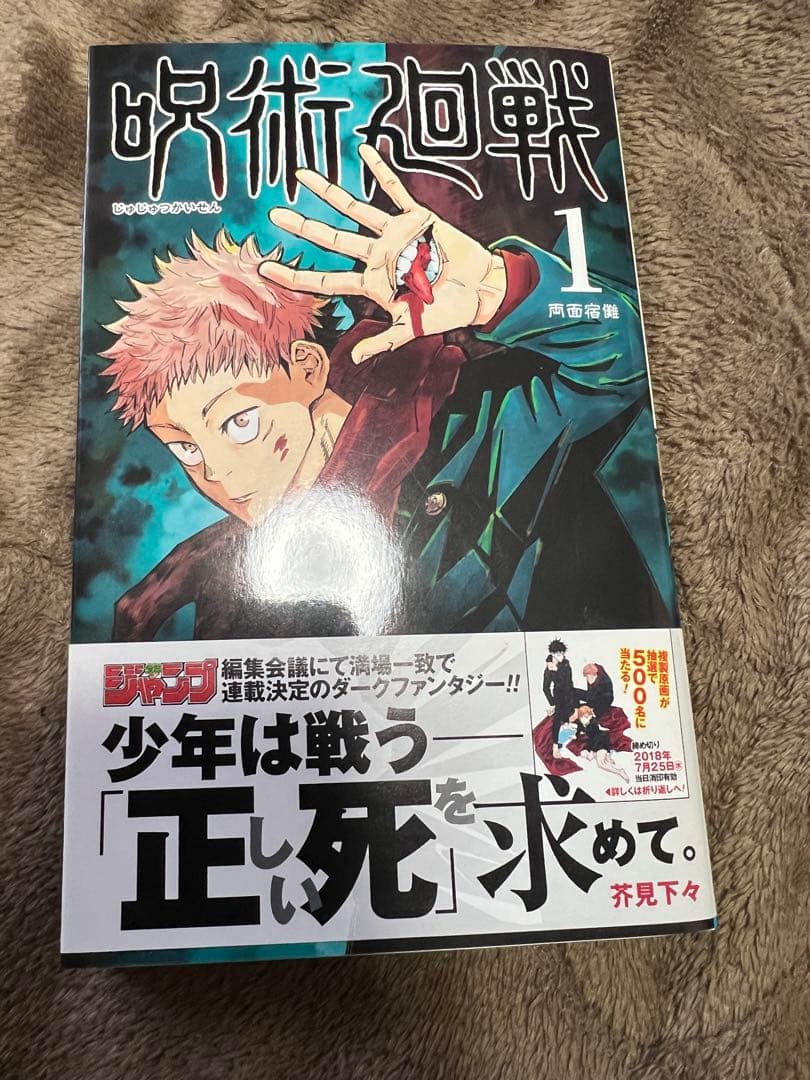 【全巻初版】呪術廻戦 0〜30巻＋0.5巻＋公式ガイド＋パンフレット【美品】