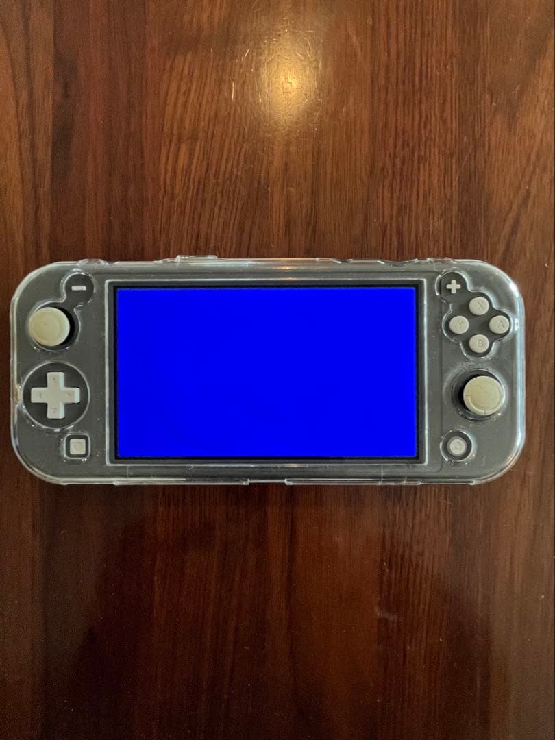 【ジャンク品】Nintendo Switch Lite 本体(透明カバー付き)