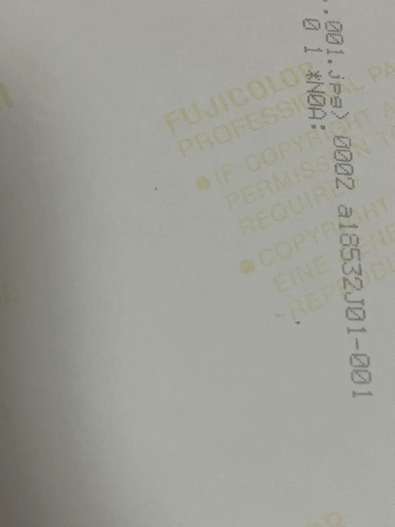 TWICE CHEER UP オールサノクフォト