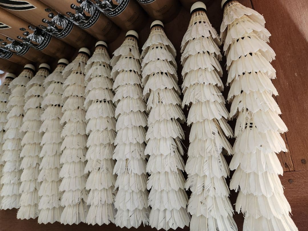 【第1種検定球】リーニン FA+500 中古シャトル 120球（10ダース）