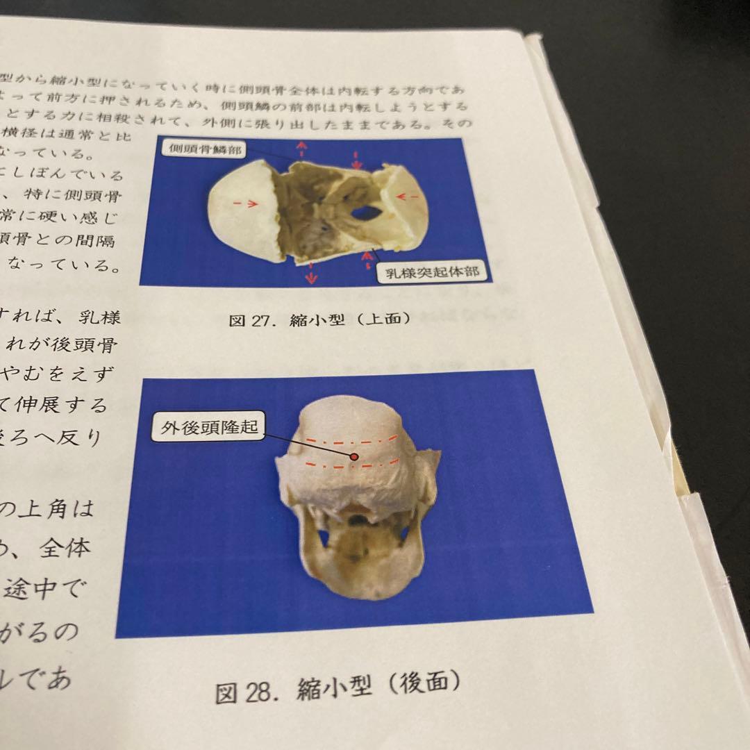 パーフェクト　クラニオロジー哲学編　2007年度版！整体！整骨！カイロ！オステ！