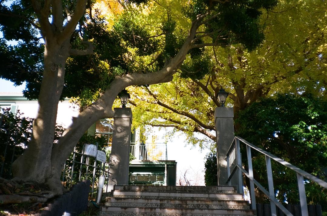 極美品 KONICA C35 flashmatic 783209【整備・試写済】