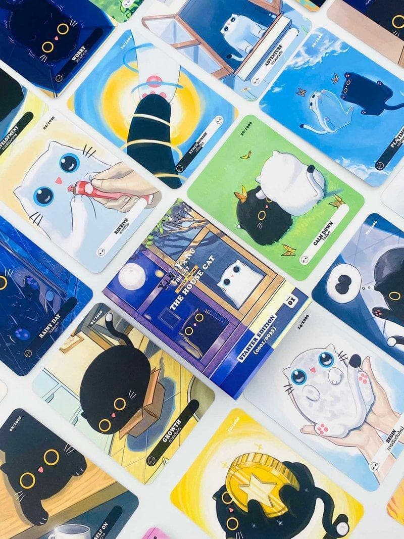 【正規品オラクルカード】生産150個限定のレア物！✨ハウスキャットVol.1