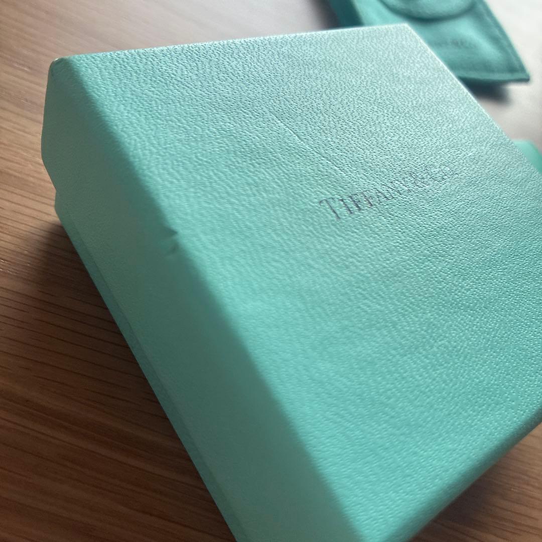 Tiffany & Co. ティアドロップネックレス　シルバー925