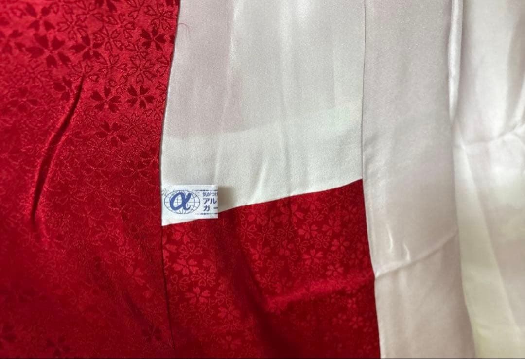 赤 吉祥文様 華 振袖 身丈161