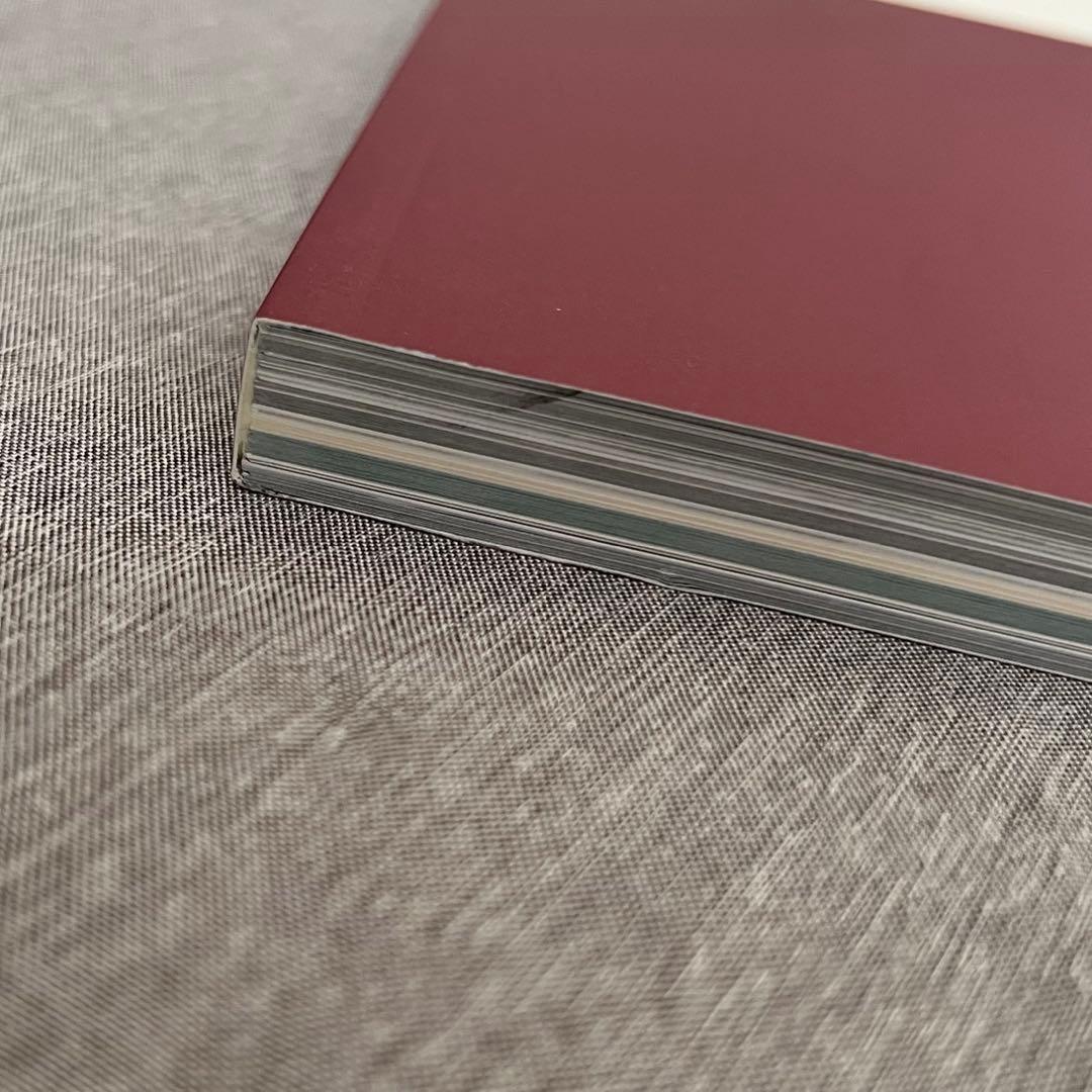 BTS MEMORIES OF 2016 トレカ(FIRE)付き