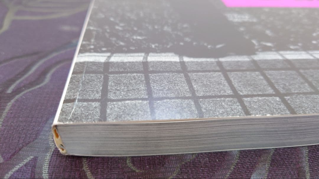 Daido hysteric no.6 1994 / 森山大道 写真集 初版