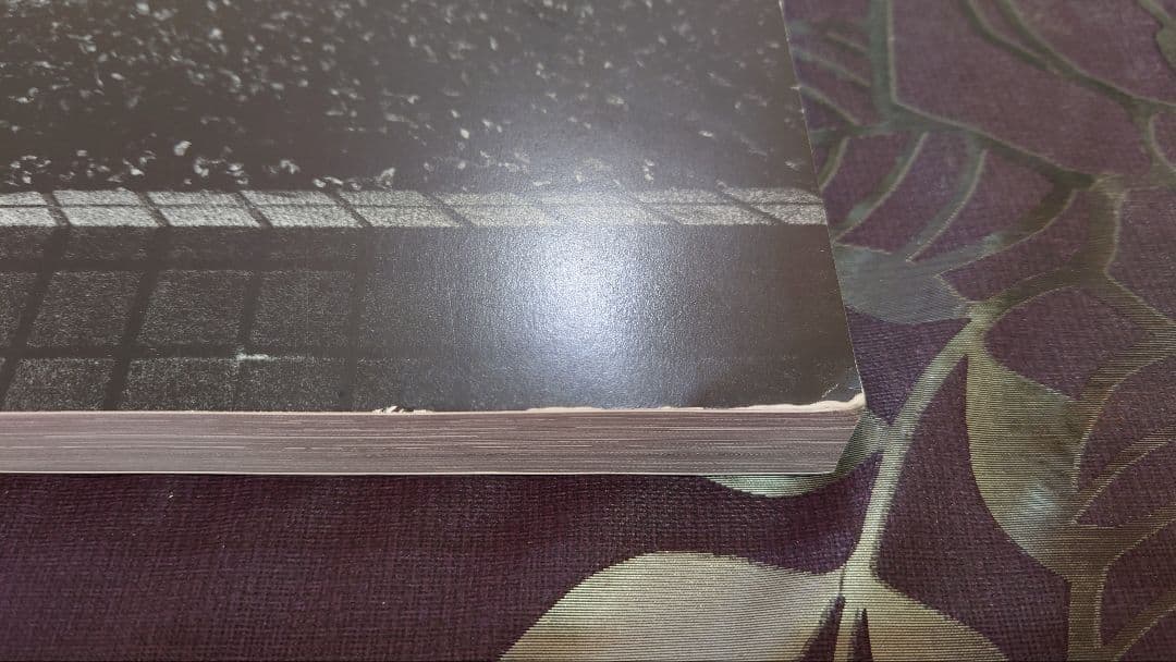 Daido hysteric no.6 1994 / 森山大道 写真集 初版