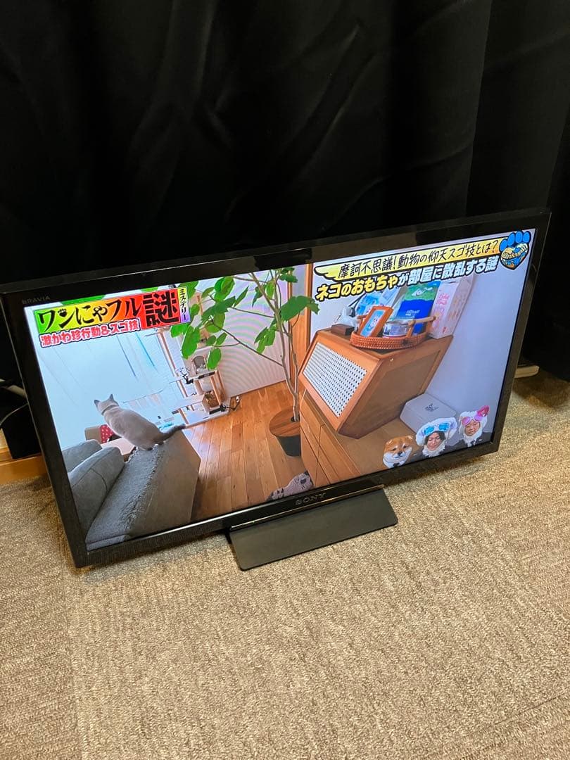 美品 SONY 液晶テレビ KJ-24W450E