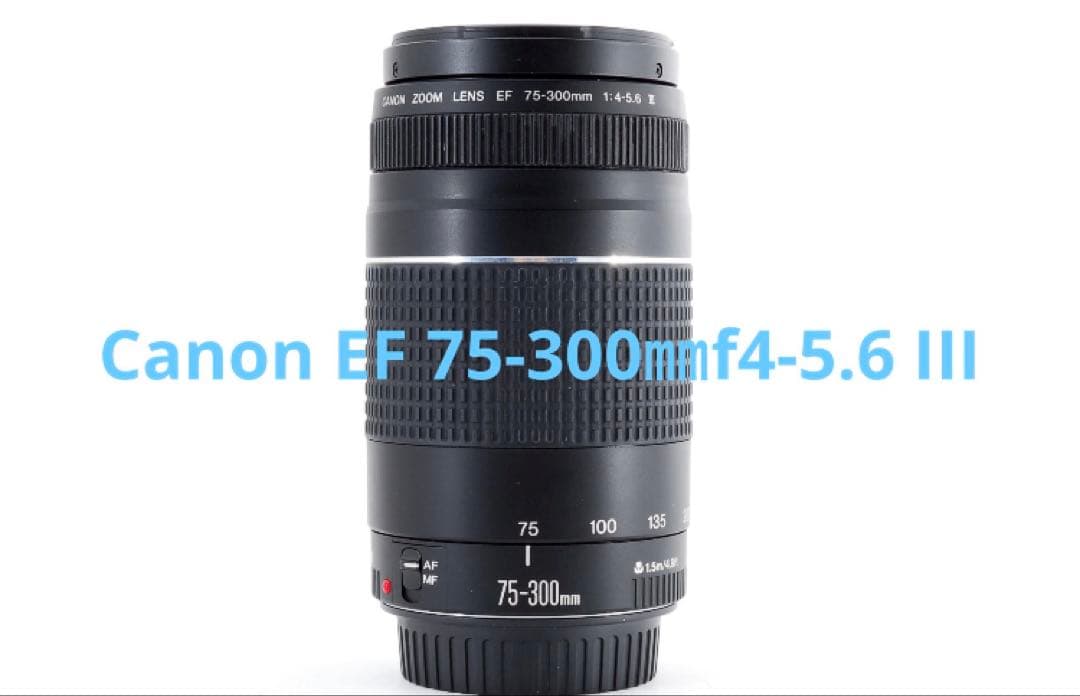 極上品☆Canon ZOOM LENS EF 75-300㎜f4-5.6 III