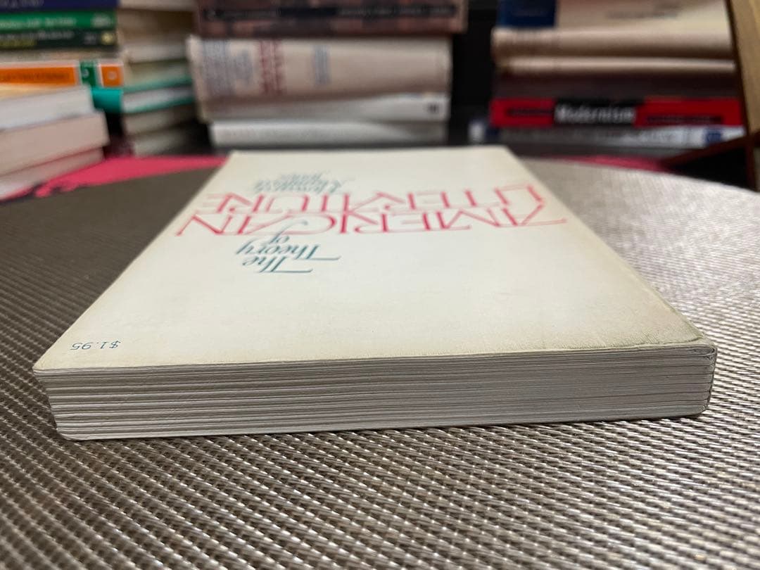 希少　The Theory of American Literature