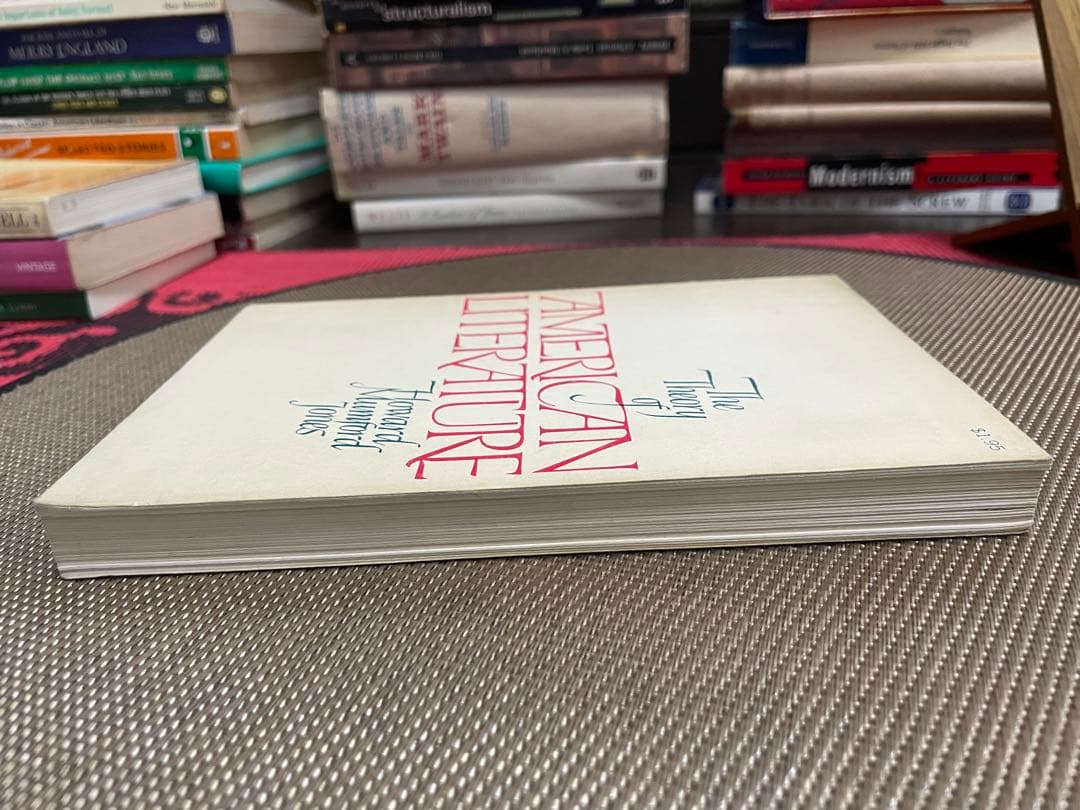 希少　The Theory of American Literature