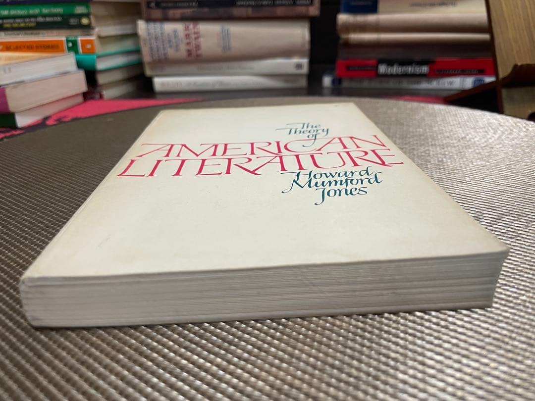 希少　The Theory of American Literature