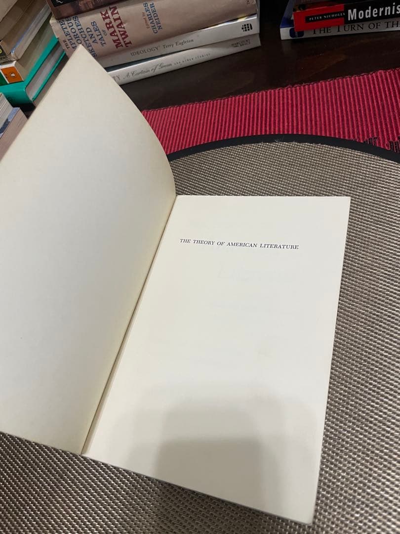 希少　The Theory of American Literature