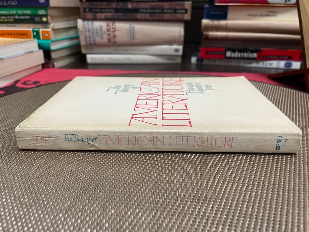 希少　The Theory of American Literature