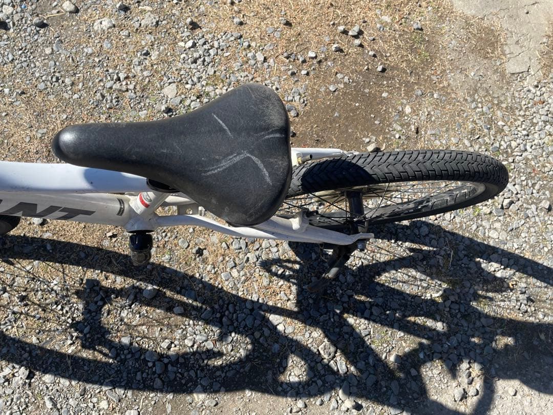 GIANT SNAP 子供用自転車 20インチ