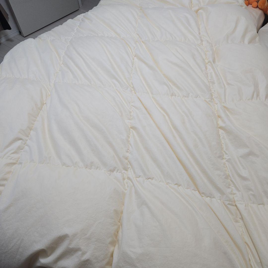 保証書付Dauna Sサイズ ドイツ製ダウナ　シングル　クリーム色　600g