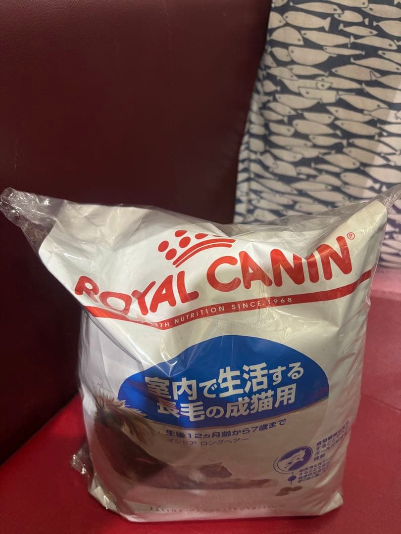 ロイヤルカナン✴︎ちゅーる付き　室内で生活する長毛の成猫用　インドア　 4kg