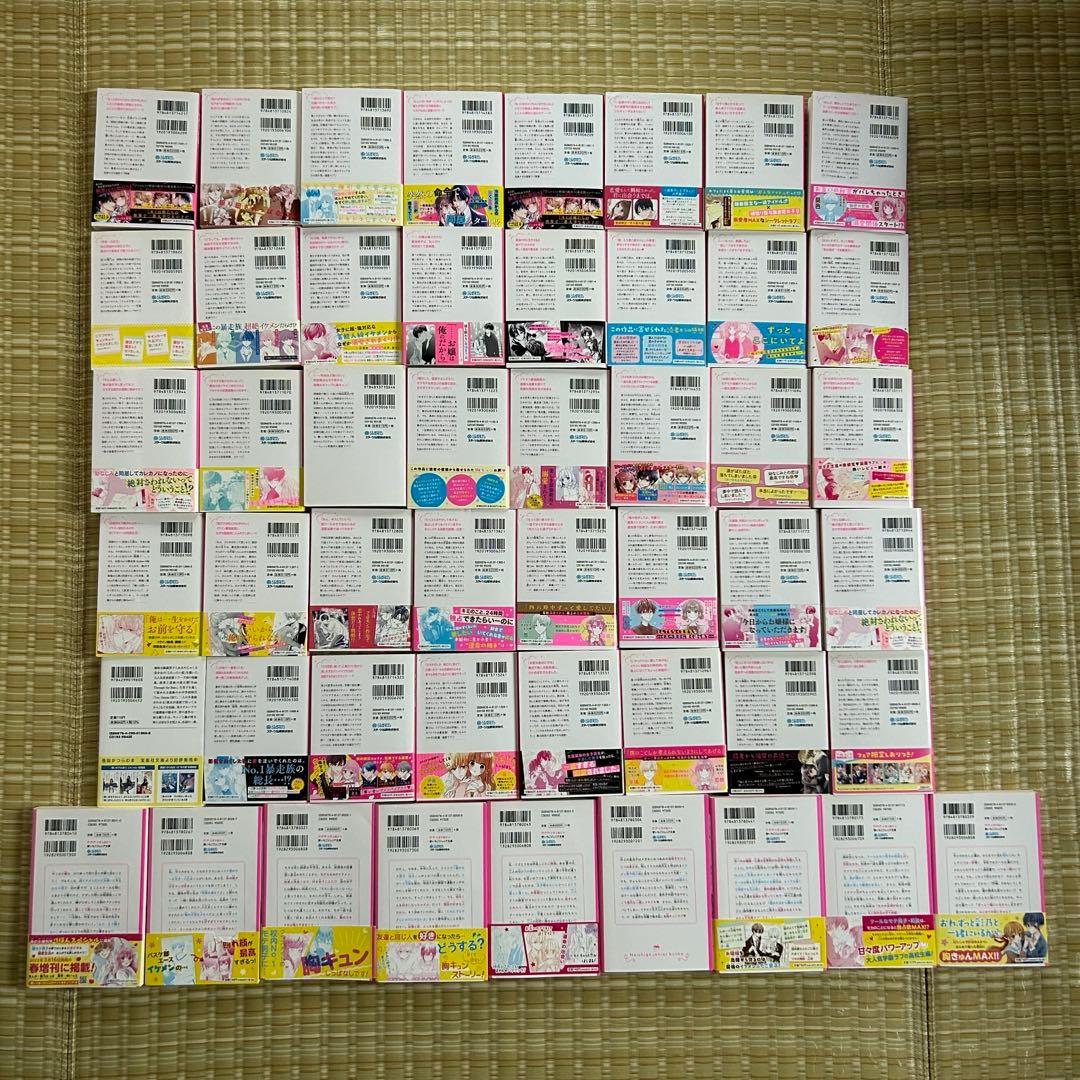 【即発送】美品 野いちごジュニア文庫 他 49冊セット