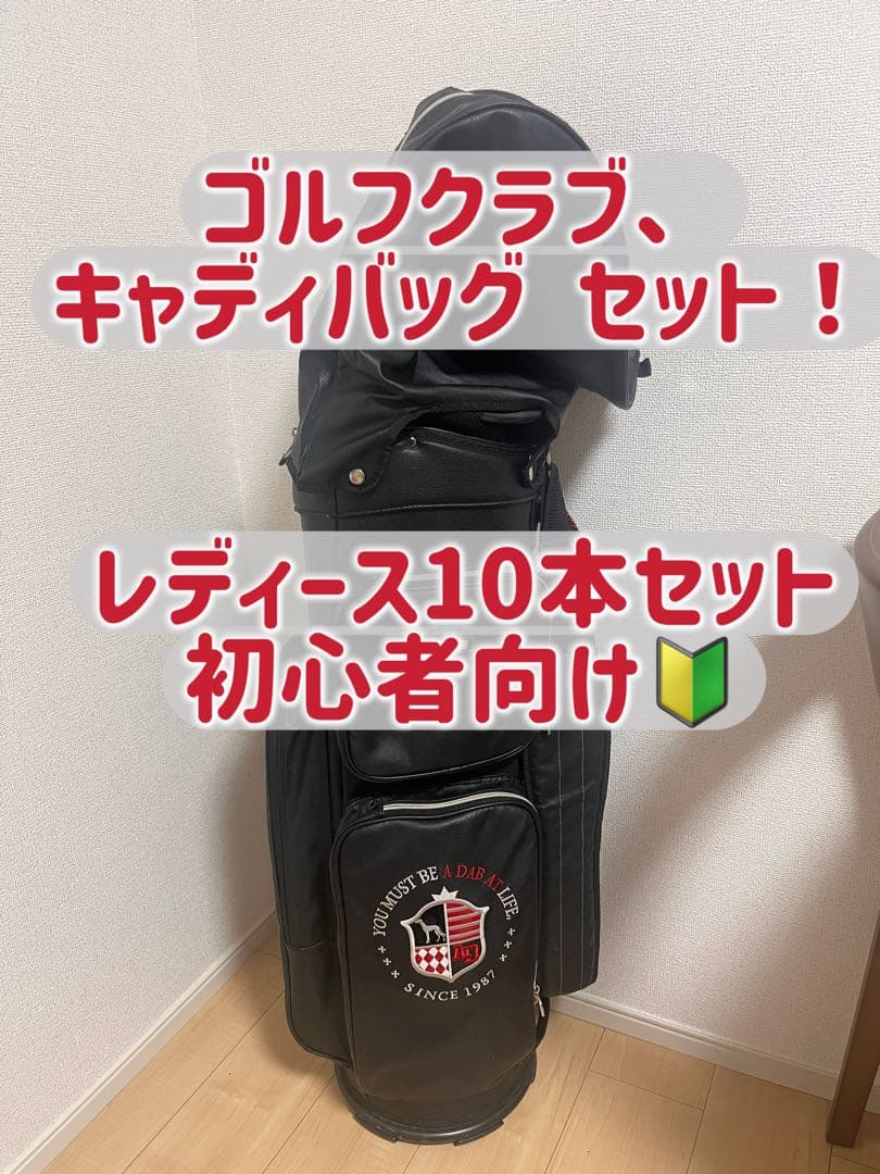 【キャディバッグ付】ゴルフクラブレディースセット ミズノノータス 初心者向け