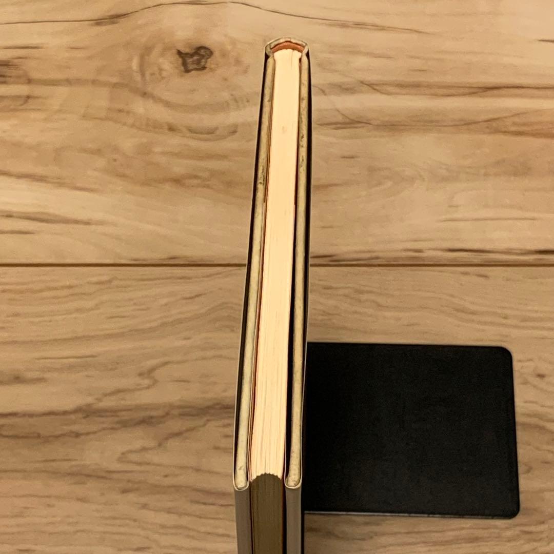 初版 草間彌生 沼に迷いて YAYOI KUSAMA而立書房刊