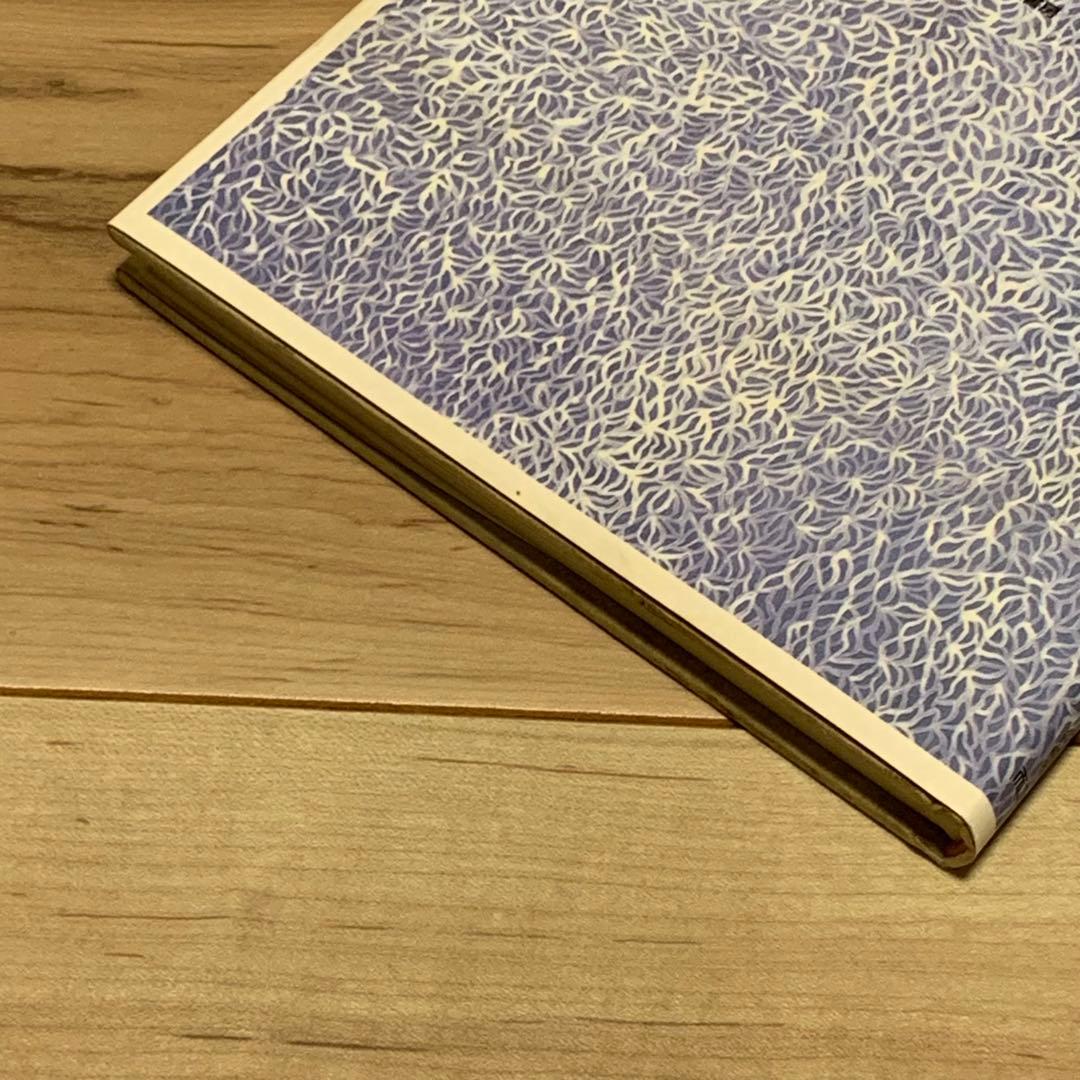 初版 草間彌生 沼に迷いて YAYOI KUSAMA而立書房刊