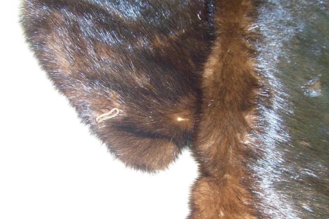 ミンクファー////フルスキン（オールミンク）訳あり