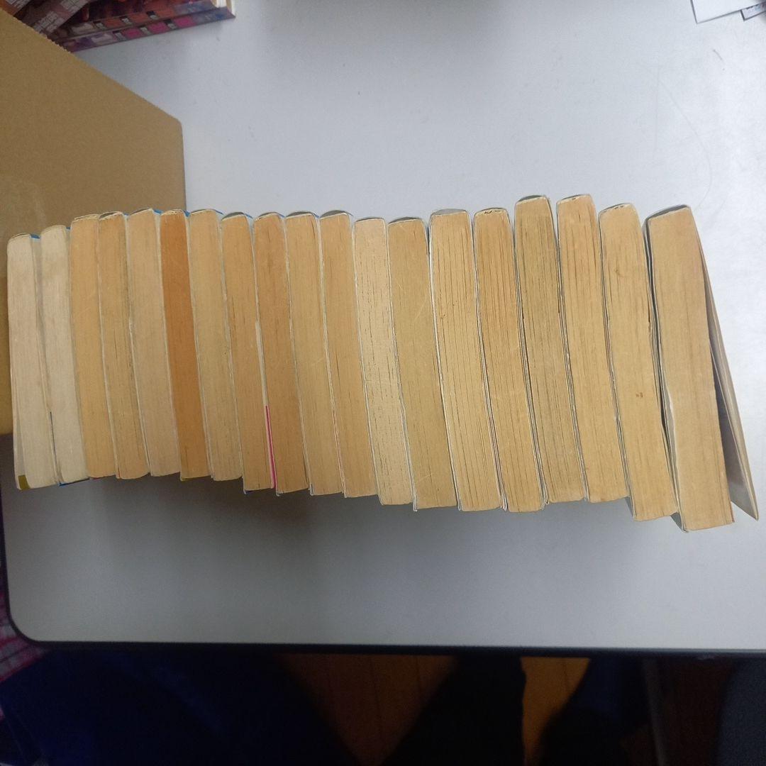 燃えるお兄さん　全19巻　完結