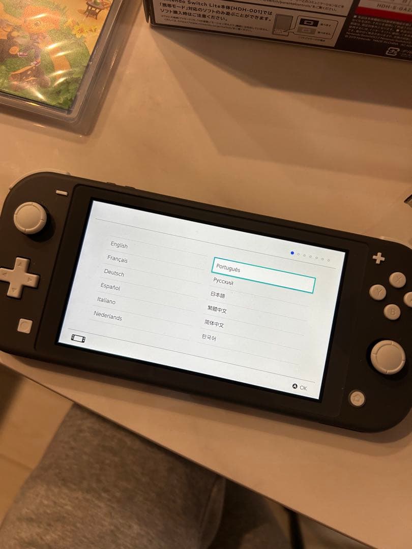 Nintendo Switch Lite Gray 本体 + どうぶつの森