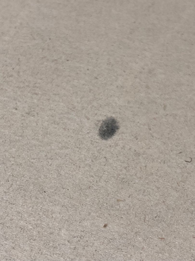 【中古】土門拳 写真集 2点セット