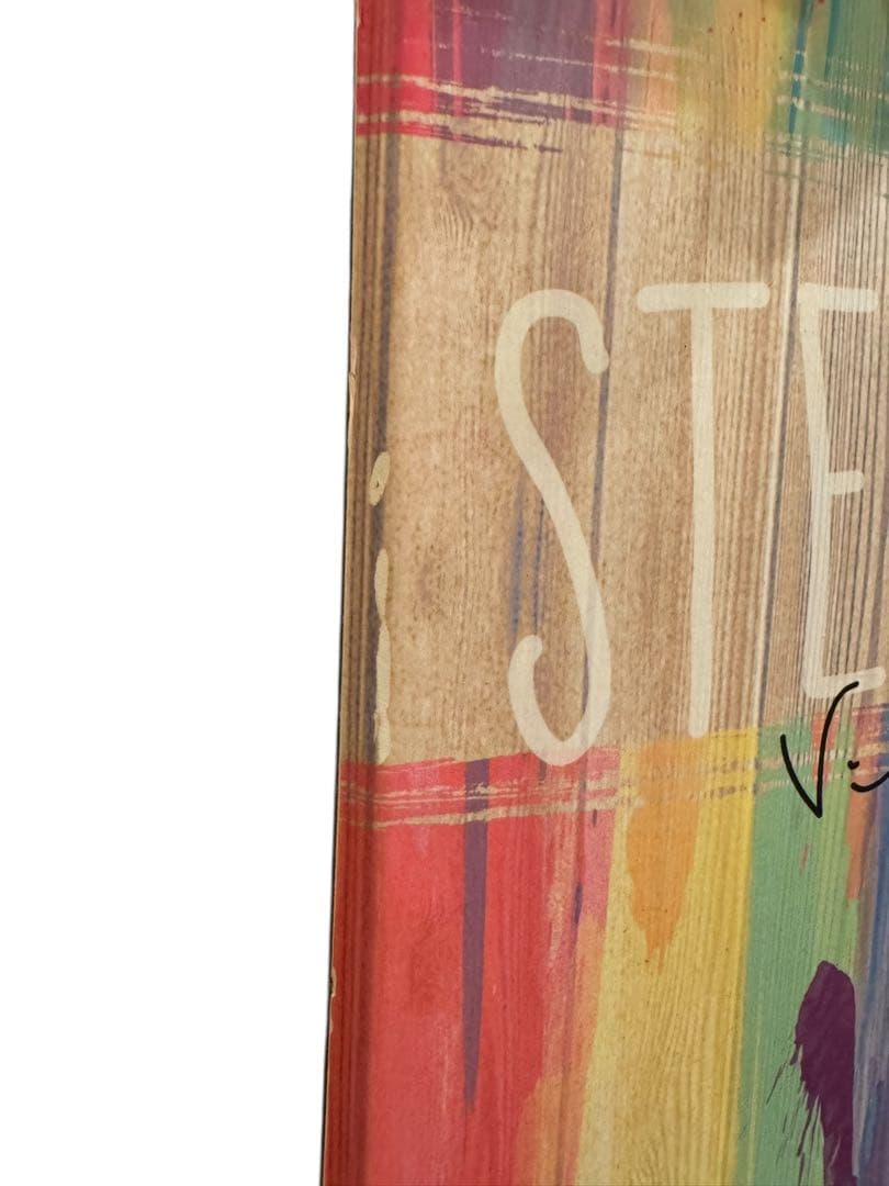 STELLA VIVIAN スノーボード143cm ビンディング付 ケース付