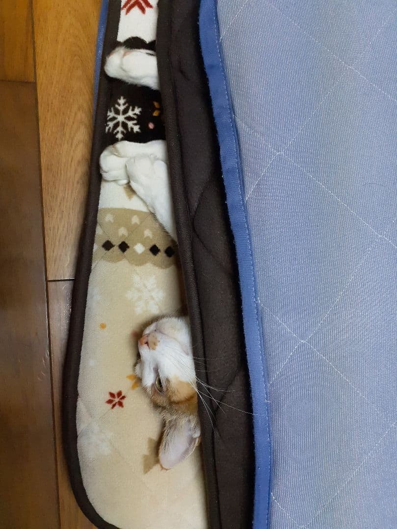 ア*ス様 スマスロ　シンエヴァンゲリオン　家庭用