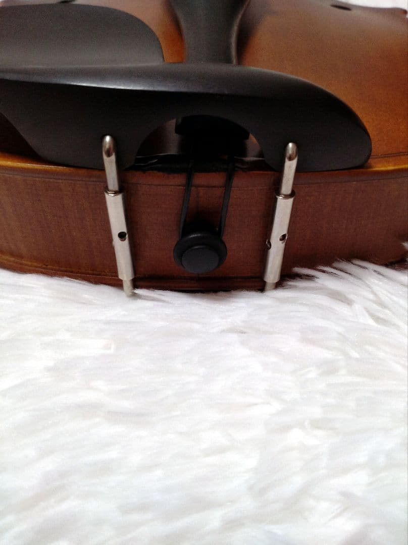 ✨️美品✨️Hallstatt V-12 4/4 バイオリン 付属多数 入門