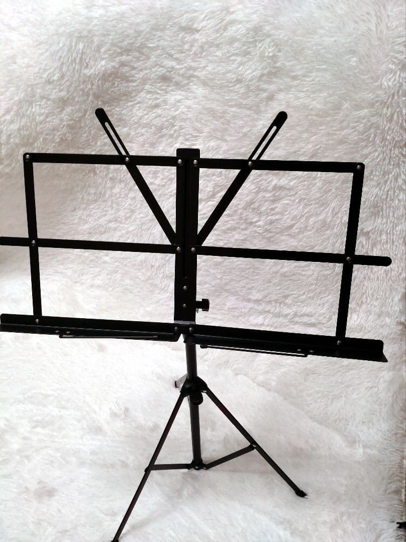 ✨️美品✨️Hallstatt V-12 4/4 バイオリン 付属多数 入門