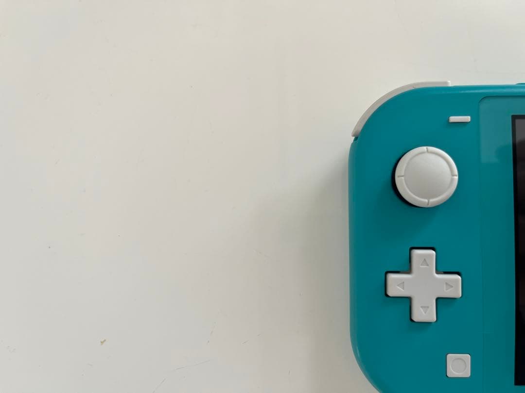 Nintendo Switch Liteターコイズ 充電器SDカードケース付き